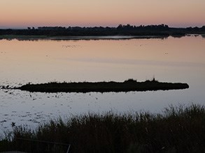 Dawn-over-the-El-Rocío-lago © John Muddeman