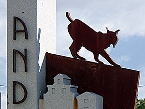 Lynx-symbol-adorning-town-s © John Muddeman