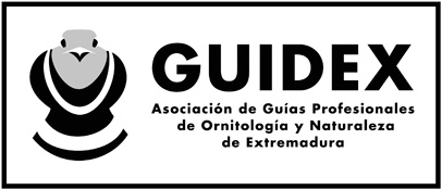 Guidex logo