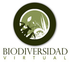 BV logo