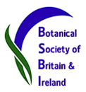 BSBI logo