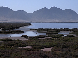 Salinas de Cabo de Gata © Teresa Farino