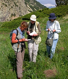 BSBI members at Ampri © Teresa Farino