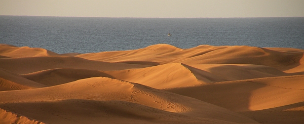 Dunas de Maspalomas, Gran Canaria © Teresa Farino