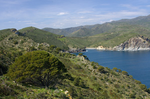 Cap de Norfeu, Catalonia © Mike Lockwood