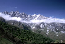 Li&eacute;bana - Picos de Europa. &copy; Teresa Farino