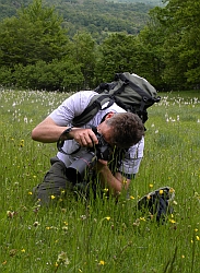 Flower photography in the Picos meadows © Teresa Farino