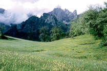 Li&eacute;bana - Picos de Europa &copy; Teresa Farino