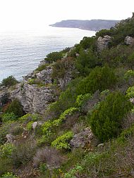 Cliffs of Az&oacute;ia &copy; Teresa Farino