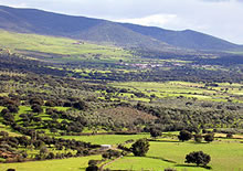 Spain - birds and birdwatching - Mediterranean habitats in Extremadura © John Muddeman