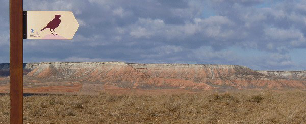 Belchite steppe landscape © John Muddeman