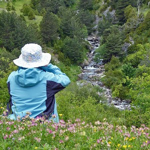 White-throated Dipper watching in the Pyrenees © John Muddeman